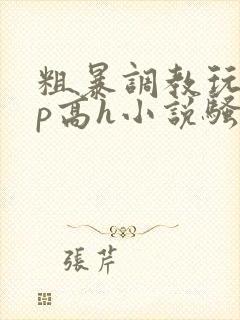 粗暴调教玩弄np高h小说骚受