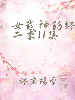 女武神的终末第二季11集