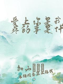 爱上你是我最心疼的事是什么歌