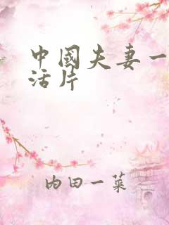 中国夫妻一级生活片