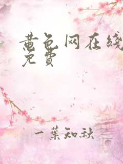 黄色网在线观看免费