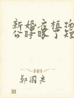 新婚夜植物人老公睁眼了短剧