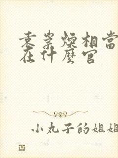 袁崇焕相当于现在什么官