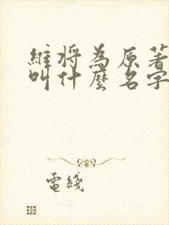 维将为原著小说叫什么名字