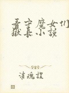 看守魔女们的监狱长小说