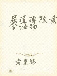 尿道排除黄色的分泌物