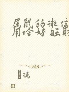 属鼠的微信头像用啥好 旺财