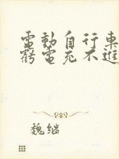 电动自行车电池亏电充不进电怎么办