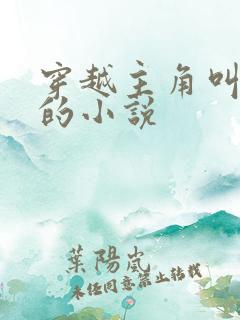 穿越主角叫宁宸的小说