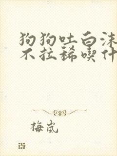 狗狗吐白沫黏液不拉稀吃什么药