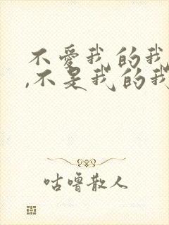 不爱我的我不求,不是我的我不留什么歌