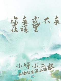 你来或不来我都在这里