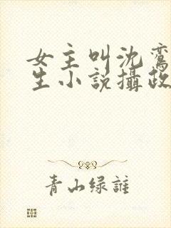 女主叫沈鸾的重生小说摄政王