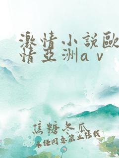 激情小说欧美激情亚洲aⅴ