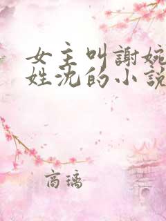 女主叫谢婉男主姓沈的小说