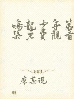 鸣龙少年第28集免费观看