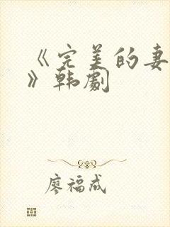 《完美的妻子4》韩剧