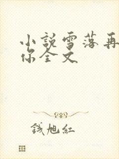 小说雪落再说爱你全文