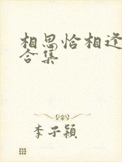 相思恰相逢短剧合集