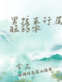 男孩五行属金最旺的字