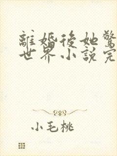 离婚后她惊艳了世界小说完整版大结局