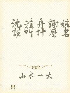 沈淮舟谢婉宁小说叫什么名字