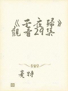 《子夜归》免费观看29集