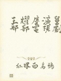 王耀庆演舅舅是哪部电视剧