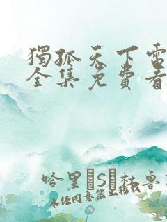 独孤天下电视剧全集免费看