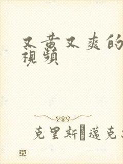 又黄又爽的美女视频