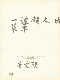 一波超人 内置菜单