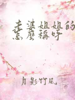 老婆姐姐的丈夫怎么称呼