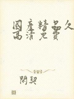 国产精品久久久高清免费