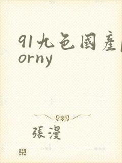 91九色国产porny