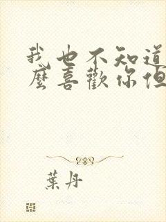 我也不知道为什么喜欢你但你就是我