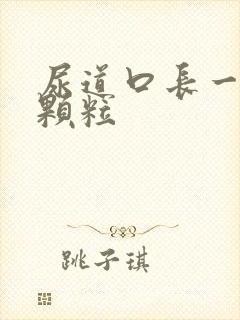 尿道口长一排小颗粒