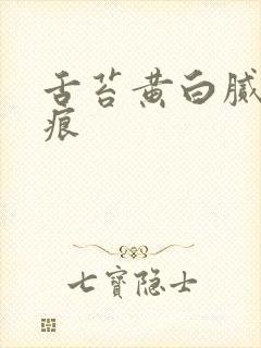 舌苔黄白腻有齿痕