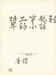 特工穿越到修真界的小说