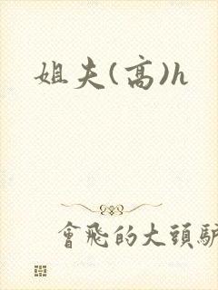姐夫(高)h