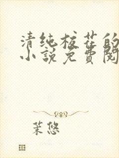 清纯校花的秘密小说免费阅读全文