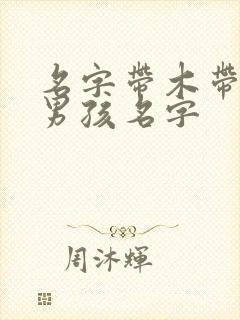 名字带木带土的男孩名字