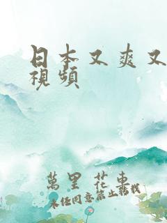 日本又爽又黄的视频