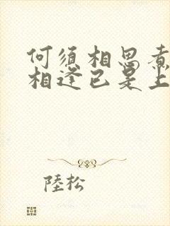 何须相思煮余年相逢已是上上签