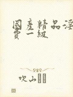 国产精品淫片免费一级