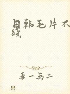 日韩毛片不卡在线