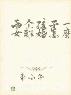 两个孩子一男一女离婚怎么判决抚养权