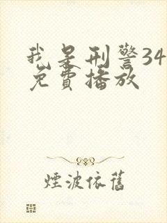 我是刑警34集免费播放