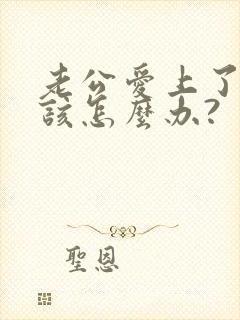 老公爱上了别人该怎么办?