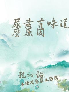 尿黄有味道是什么原因