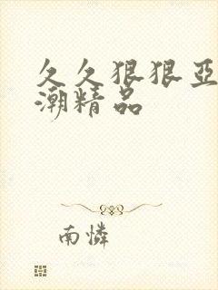 久久狠狠亚洲高潮精品